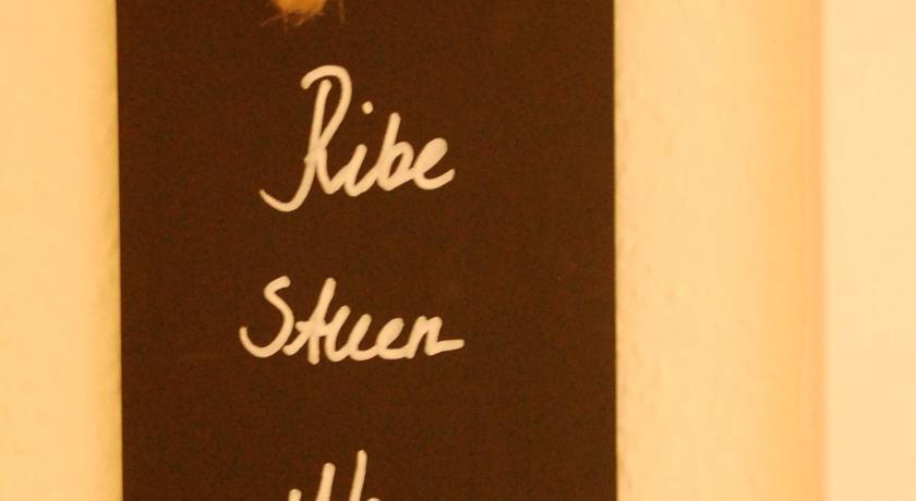 Hotel Ribe 3*